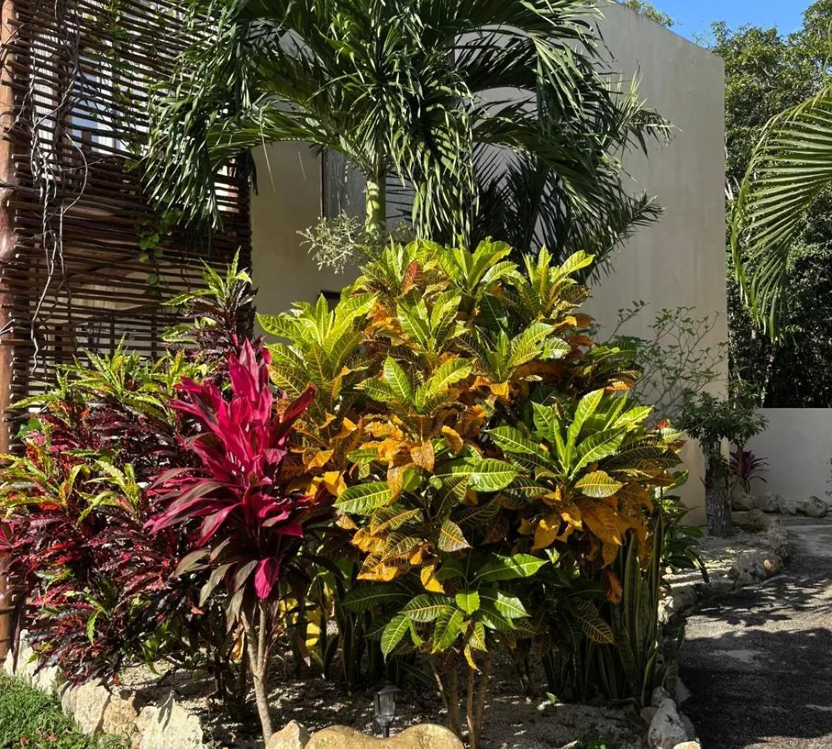Villa Ahal, Chemuyil Apart Otel